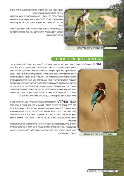 קובץ:Threats2009.pdf