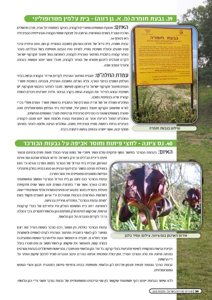 קובץ:Threats2009.pdf