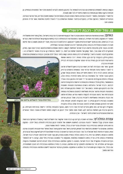 קובץ:Threats2009.pdf