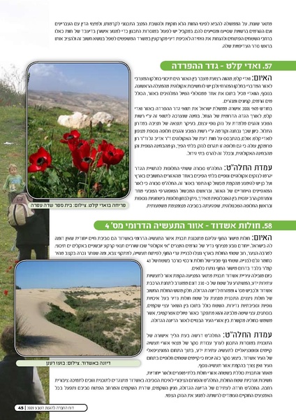קובץ:Threats2009.pdf