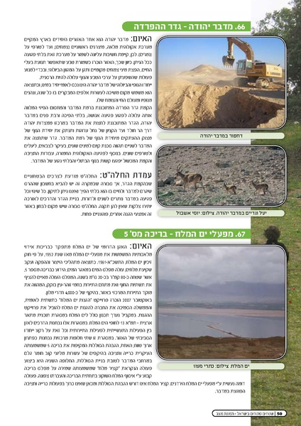 קובץ:Threats2009.pdf