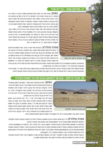 קובץ:Threats2009.pdf