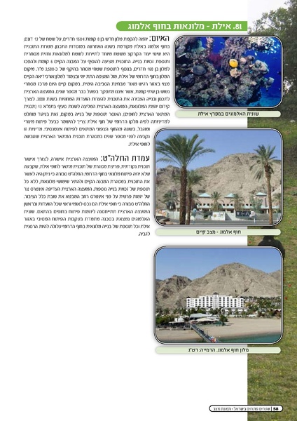 קובץ:Threats2009.pdf