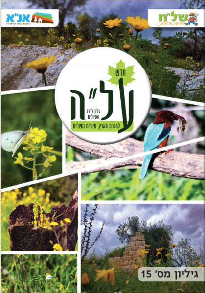 קובץ:עלה מס 15.PNG