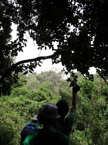 קובץ:Merkaz hacheirim.jpg