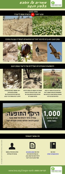 קובץ:Negev(1).pdf