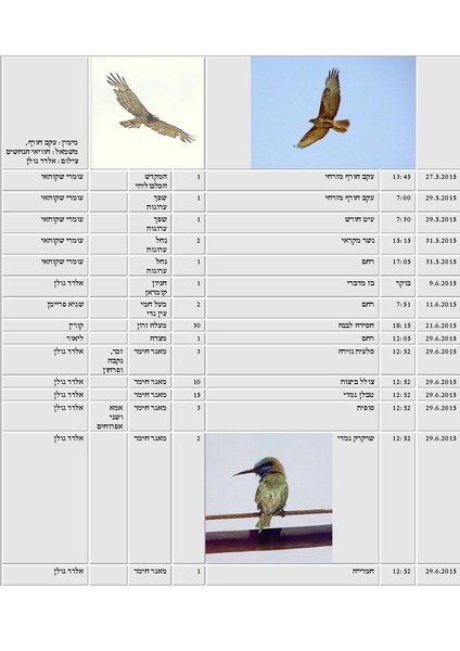 קובץ:Tazpiyot(1).pdf
