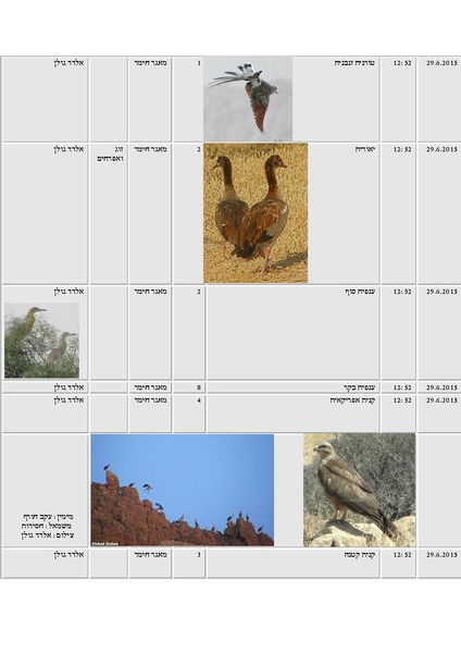 קובץ:Tazpiyot(1).pdf