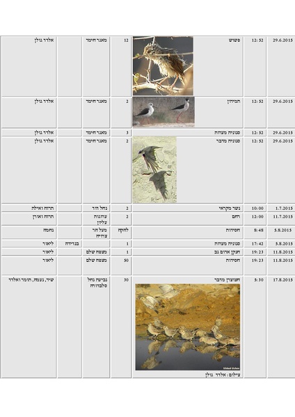 קובץ:Tazpiyot(1).pdf