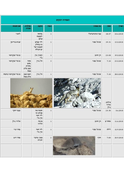 קובץ:Tazpiyot(1).pdf